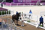 OLY-2020-DRESSAGE-JOG-7-24-21-1186-151-EDWARD GAL-TOTAL US-NED-DDEROSAPHOTO