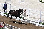 OLY-2020-DRESSAGE-JOG-7-24-21-1190-151-EDWARD GAL-TOTAL US-NED-DDEROSAPHOTO