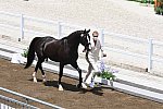 OLY-2020-DRESSAGE-JOG-7-24-21-1192-151-EDWARD GAL-TOTAL US-NED-DDEROSAPHOTO