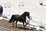 OLY-2020-DRESSAGE-JOG-7-24-21-1204-152-HP MINDERHOUD-DREAM BOY-NED-DDEROSAPHOTO