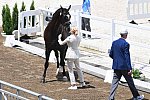 OLY-2020-DRESSAGE-JOG-7-24-21-1215-153-M VAN BAALEN-GO LEGEND-NED-DDEROSAPHOTO