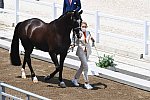 OLY-2020-DRESSAGE-JOG-7-24-21-1217-153-M VAN BAALEN-GO LEGEND-NED-DDEROSAPHOTO