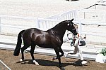 OLY-2020-DRESSAGE-JOG-7-24-21-1218-153-M VAN BAALEN-GO LEGEND-NED-DDEROSAPHOTO