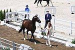 OLY-2020-DRESSAGE-JOG-7-24-21-1226-154-DINGE VAN LIERE-HAUTE COUTURE-NED-DDEROSAPHOTO