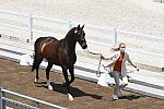 OLY-2020-DRESSAGE-JOG-7-24-21-1227-154-DINGE VAN LIERE-HAUTE COUTURE-NED-DDEROSAPHOTO