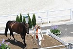 OLY-2020-DRESSAGE-JOG-7-24-21-1231-154-DINGE VAN LIERE-HAUTE COUTURE-NED-DDEROSAPHOTO