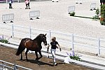 OLY-2020-DRESSAGE-JOG-7-24-21-1236-155-MARIA CAETANO-FENIX DE TINEO-POR-DDEROSAPHOTO