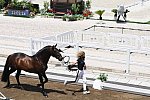 OLY-2020-DRESSAGE-JOG-7-24-21-1241-155-MARIA CAETANO-FENIX DE TINEO-POR-DDEROSAPHOTO