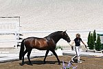 OLY-2020-DRESSAGE-JOG-7-24-21-1242-155-MARIA CAETANO-FENIX DE TINEO-POR-DDEROSAPHOTO