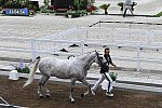 OLY-2020-DRESSAGE-JOG-7-24-21-1258-155-CARLOS PINTO-SULTAO MENEZES-POR-DDEROSAPHOTO