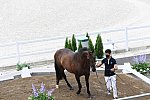 OLY-2020-DRESSAGE-JOG-7-24-21-1272-157-JM TORRAO-EQUADOR-POR-DDEROSAPHOTO