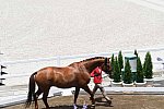 OLY-2020-DRESSAGE-JOG-7-24-21-1343-164-CAROLINE CHEW-TRIBIANI-SGP-DDEROSAPHOTO