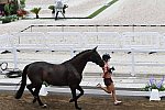 OLY-2020-DRESSAGE-JOG-7-24-21-1354-165-ESTELLE WETTSTEIN-WEST SIDE STORY OLD-SUI-DDEROSAPHOTO