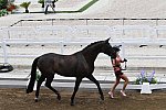 OLY-2020-DRESSAGE-JOG-7-24-21-1355-165-ESTELLE WETTSTEIN-WEST SIDE STORY OLD-SUI-DDEROSAPHOTO