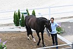 OLY-2020-DRESSAGE-JOG-7-24-21-1364-167-THERESE NILSHAGEN-DANTE WELTINO OLD-SWE-DDE-SWE-DDEROSAPHOTO