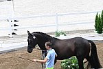 OLY-2020-DRESSAGE-JOG-7-24-21-1366-167-THERESE NILSHAGEN-DANTE WELTINO OLD-SWE-DDE-SWE-DDEROSAPHOTO