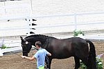 OLY-2020-DRESSAGE-JOG-7-24-21-1367-167-THERESE NILSHAGEN-DANTE WELTINO OLD-SWE-DDE-SWE-DDEROSAPHOTO