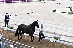 OLY-2020-DRESSAGE-JOG-7-24-21-1370-168-ANTONIA RAMEL-BROTHER DE JEU-SWE-DDEROSAPHOTO