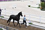 OLY-2020-DRESSAGE-JOG-7-24-21-1371-168-ANTONIA RAMEL-BROTHER DE JEU-SWE-DDEROSAPHOTO