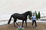OLY-2020-DRESSAGE-JOG-7-24-21-1376-168-ANTONIA RAMEL-BROTHER DE JEU-SWE-DDEROSAPHOTO