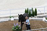 OLY-2020-DRESSAGE-JOG-7-24-21-1377-168-ANTONIA RAMEL-BROTHER DE JEU-SWE-DDEROSAPHOTO
