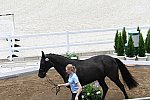 OLY-2020-DRESSAGE-JOG-7-24-21-1378-168-ANTONIA RAMEL-BROTHER DE JEU-SWE-DDEROSAPHOTO