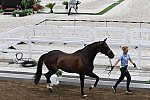 OLY-2020-DRESSAGE-JOG-7-24-21-1391-169-JULIETTE RAMEL-BURIEL K.H-SWE-DDEROSAPHOTO