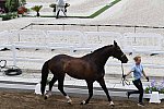 OLY-2020-DRESSAGE-JOG-7-24-21-1392-169-JULIETTE RAMEL-BURIEL K.H-SWE-DDEROSAPHOTO