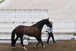 OLY-2020-DRESSAGE-JOG-7-24-21-1393-169-JULIETTE RAMEL-BURIEL K.H-SWE-DDEROSAPHOTO