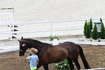 OLY-2020-DRESSAGE-JOG-7-24-21-1395-169-JULIETTE RAMEL-BURIEL K.H-SWE-DDEROSAPHOTO