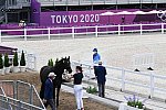 OLY-2020-DRESSAGE-JOG-7-24-21-1411-171-LYLE ADRIENNE-SALVINO-USA-DDEROSAPHOTO