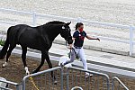 OLY-2020-DRESSAGE-JOG-7-24-21-1422-171-LYLE ADRIENNE-SALVINO-USA-DDEROSAPHOTO
