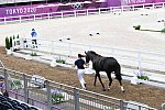 OLY-2020-DRESSAGE-JOG-7-24-21-1428-171-LYLE ADRIENNE-SALVINO-USA-DDEROSAPHOTO