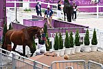 OLY-2020-DRESSAGE-JOG-7-24-21-1431-172-STEFFEN PETERS-SUPPERKASPER-USA-DDEROSAPHOTO