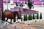 OLY-2020-DRESSAGE-JOG-7-24-21-1432-172-STEFFEN PETERS-SUPPERKASPER-USA-DDEROSAPHOTO