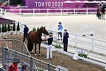 OLY-2020-DRESSAGE-JOG-7-24-21-1443-172-STEFFEN PETERS-SUPPERKASPER-USA-DDEROSAPHOTO
