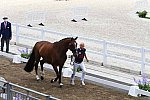 OLY-2020-DRESSAGE-JOG-7-24-21-1445-172-STEFFEN PETERS-SUPPERKASPER-USA-DDEROSAPHOTO