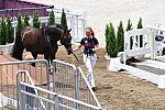 OLY-2020-DRESSAGE-JOG-7-24-21-1470-173-SABINE SCHUT-KERY-SANCEO-USA-DDEROSAPHOTO
