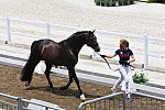 OLY-2020-DRESSAGE-JOG-7-24-21-1487-173-SABINE SCHUT-KERY-SANCEO-USA-DDEROSAPHOTO