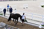 OLY-2020-DRESSAGE-JOG-7-24-21-1505-174-NICK- WAGMAN-DON JOHN-USA-DDEROSAPHOTO