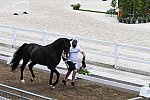 OLY-2020-DRESSAGE-JOG-7-24-21-1506-174-NICK- WAGMAN-DON JOHN-USA-DDEROSAPHOTO