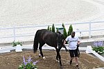 OLY-2020-DRESSAGE-JOG-7-24-21-1509-174-NICK- WAGMAN-DON JOHN-USA-DDEROSAPHOTO