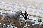 OLY-2020-DRESSAGE-JOG-7-24-21-1518-156-CARLOS PINTO-SULTAO MENEZES-POR-DDEROSAPHOTO
