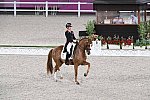 OLY-2020-DRESSAGE-GP FREESTYLE-7-28-21-9191-133-CHARLOTTE DUJARDIN-GIO-GBR-DDEROSAPHOTO
