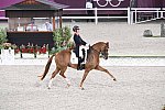 OLY-2020-DRESSAGE-GP FREESTYLE-7-28-21-9201-133-CHARLOTTE DUJARDIN-GIO-GBR-DDEROSAPHOTO