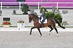 OLY-2020-DRESSAGE-GP FREESTYLE-7-28-21-7838-123-BEATRIZ FERRER-SALAT-ELEGANCE-ESP-DDEROSAPHOTO