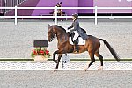 OLY-2020-DRESSAGE-GP FREESTYLE-7-28-21-7878-123-BEATRIZ FERRER-SALAT-ELEGANCE-ESP-DDEROSAPHOTO