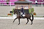 OLY-2020-DRESSAGE-GP FREESTYLE-7-28-21-7955-135-CARL HESTER-EN VOGUE-GBR-DDEROSAPHOTO