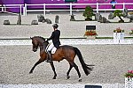 OLY-2020-DRESSAGE-GP DAY1-7-24-21-2201-147-SEAN KIM DONG-BELSTAFF-KOR -DDEROSAPHOTO