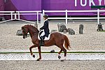 OLY-2020-DRESSAGE-GP DAY1-7-24-21-2366-145-KASUKI SADO-LUDWIG DER SONNENKOENIG 2-JPN -DDEROSAPHOTO
